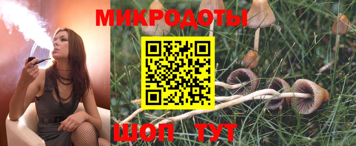 Галлюциногенные грибы ЛСД Коряжма